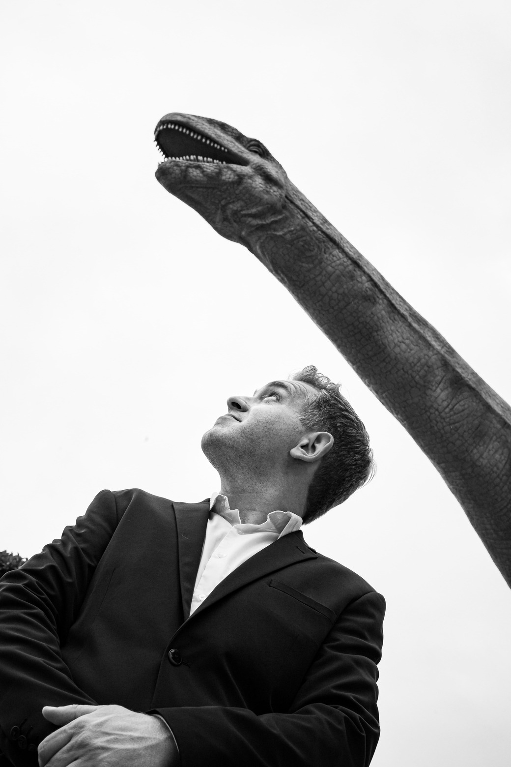 Cuando los dinosaurios dominaban la tierra