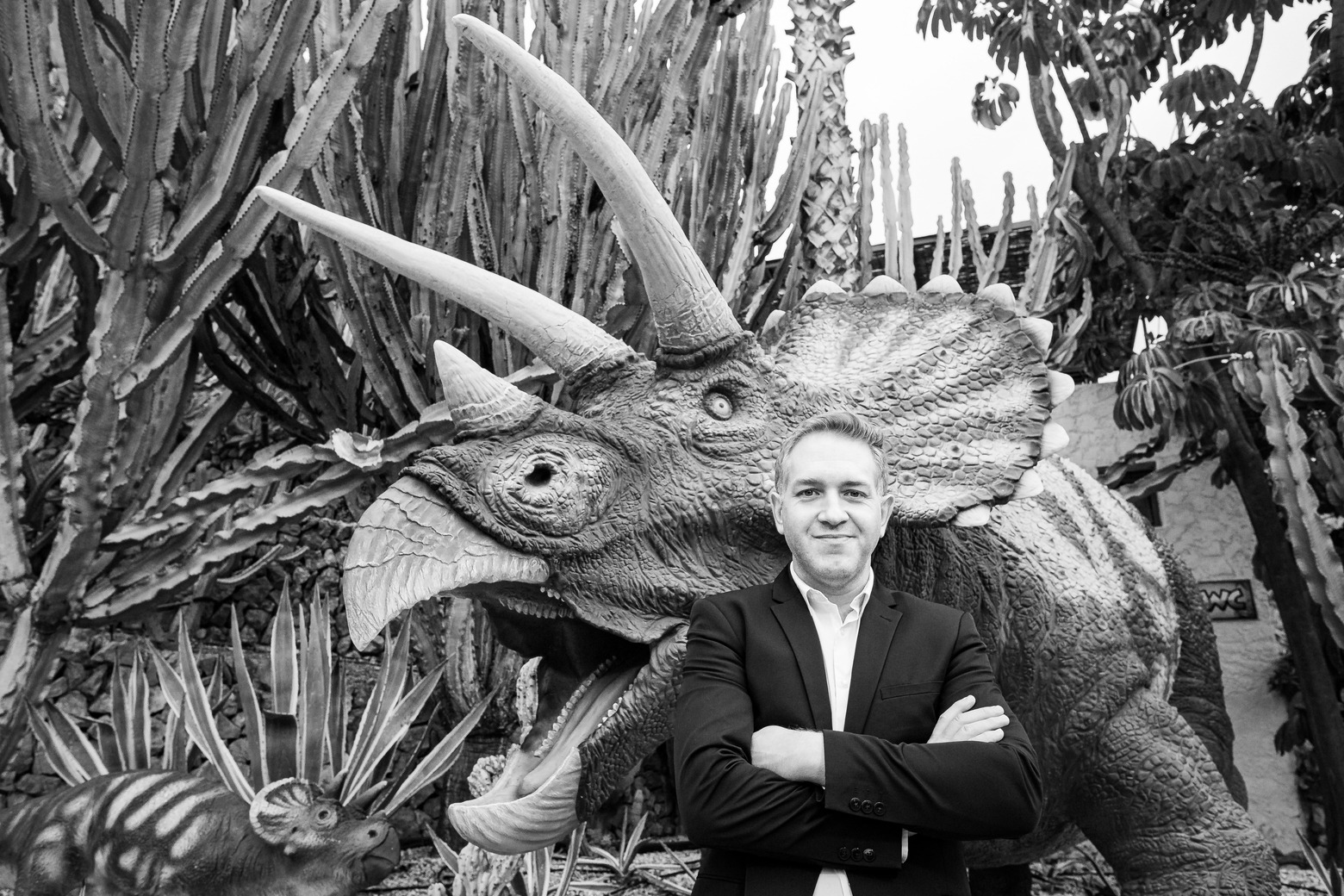 Cuando los dinosaurios dominaban la tierra